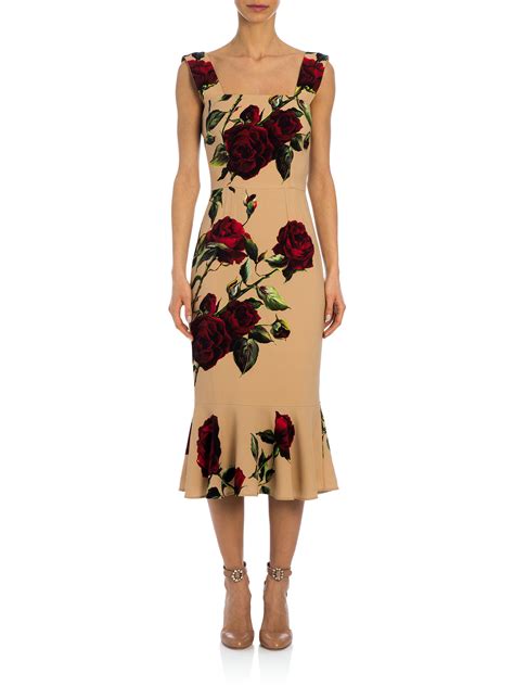 robe dolce gabbana rose|farfetch dolce and gabbana.